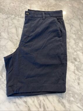 Everlane Navy Flat-Front Men's Shorts